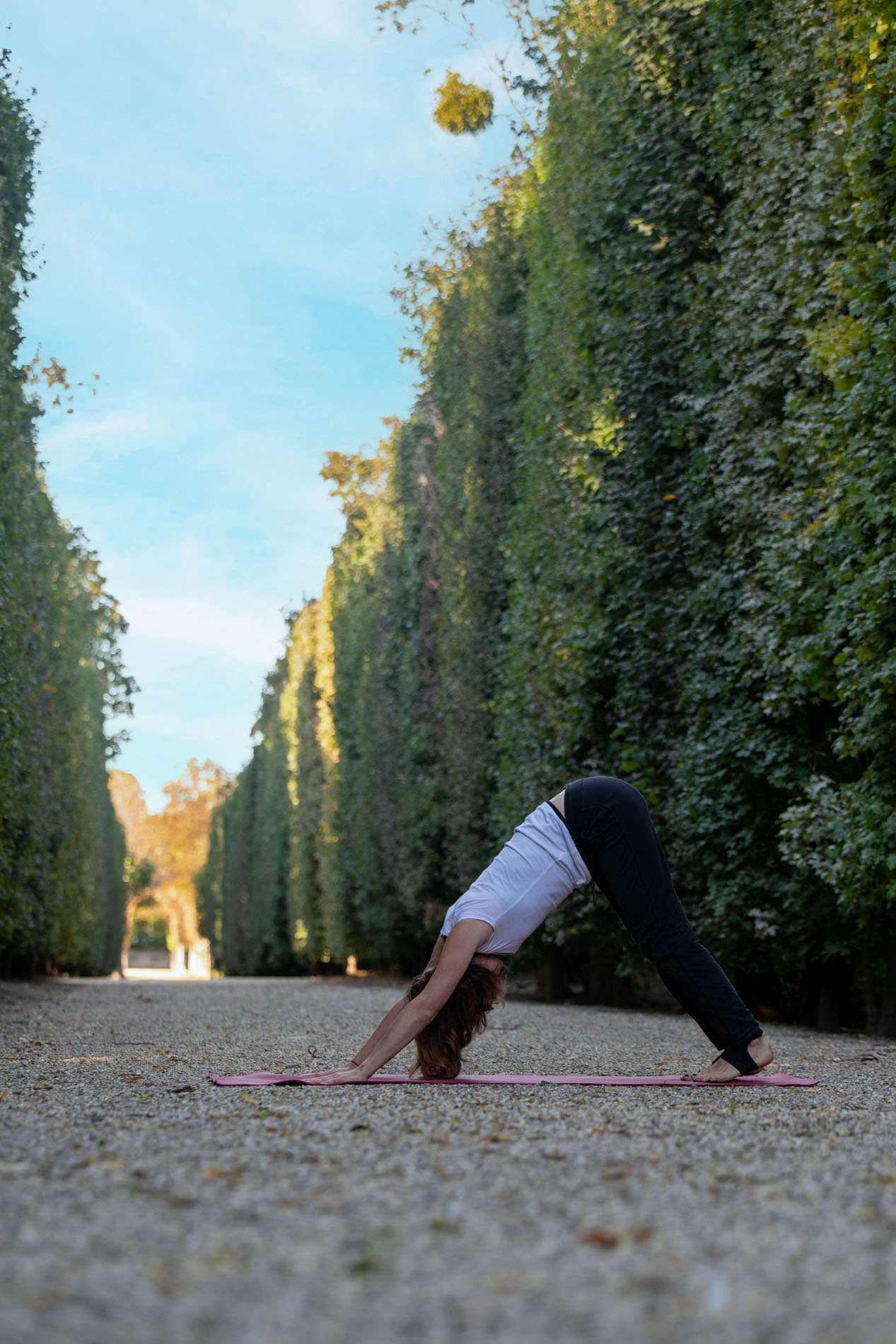 Yoga Park